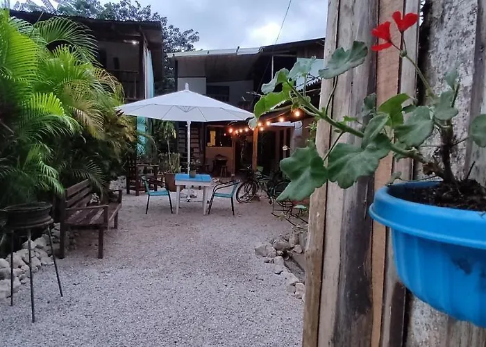 Blue Bike Auberge de jeunesse *